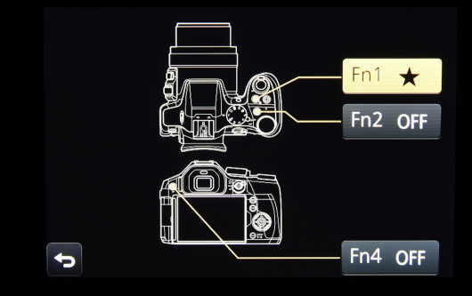 Panasonic Lumix DMC-FZ300