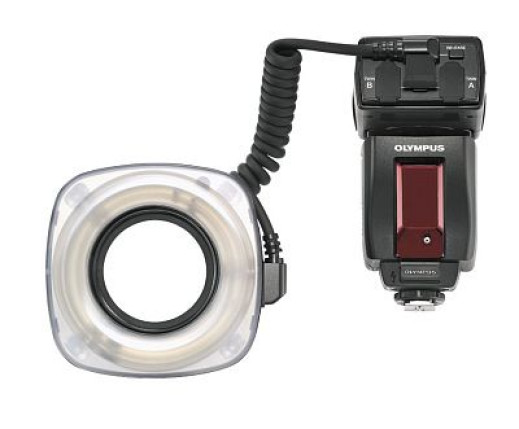 Olympus E-System i makrofotografia błyskowa