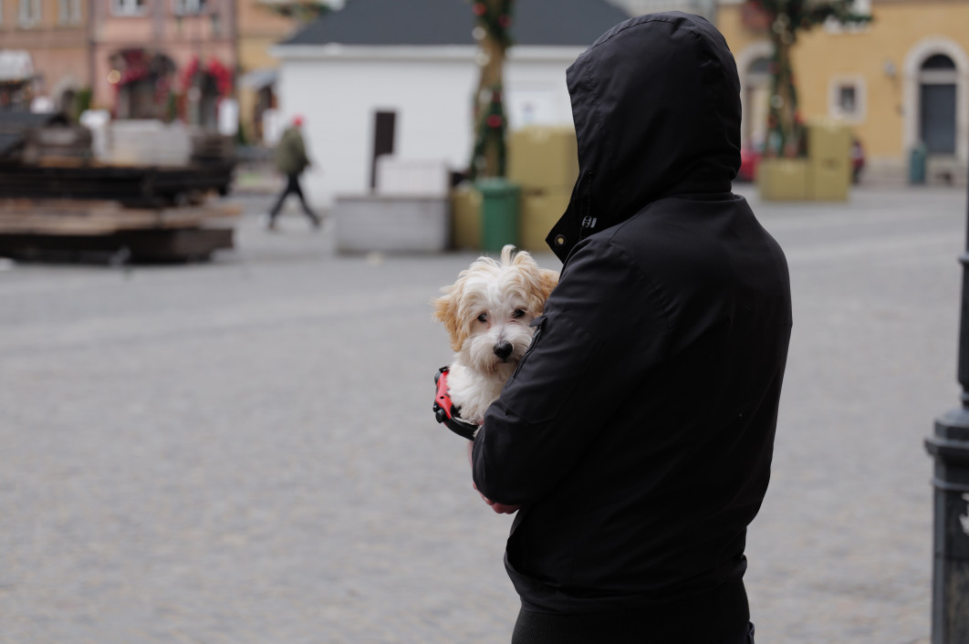 1/500 s, f/4, ISO 400, 90.0 mm