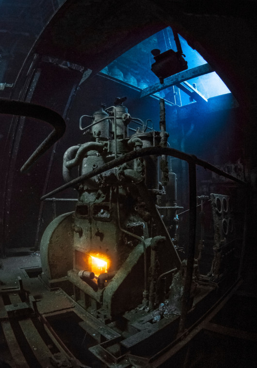 fot. Marty Engels Dunmore - Most Promising British Underwater Photographer 2016