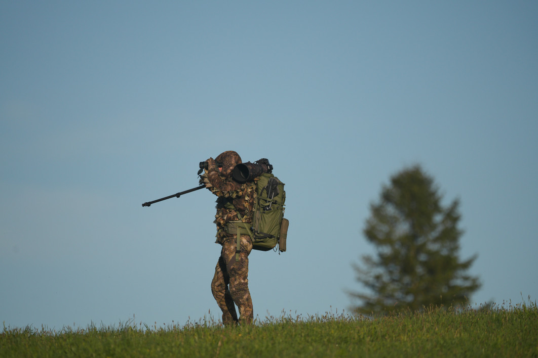 1/3200 s, f/5.6, ISO 400, 500.0 mm