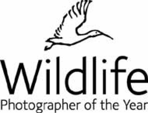 Wildlife Photographer of the Year 2004