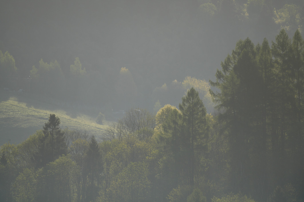 1/2500 s, f/5.6, ISO 400, 500.0 mm