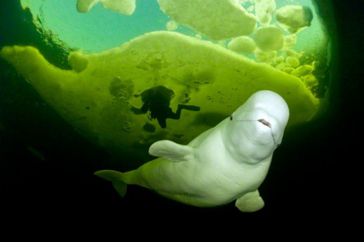 Travel Photographer of the Year 2012