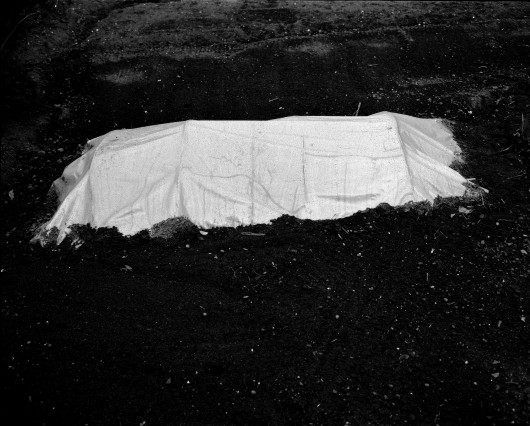 fot. Michał Hertmanowski