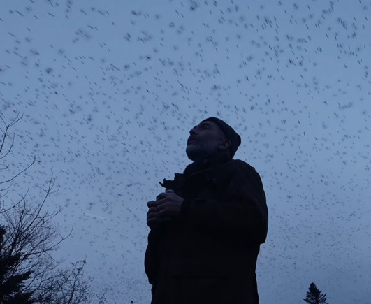Najlepsze filmy dokumentalne w Multikinie - rusza nowy cykl Millennium Docs Against Gravity