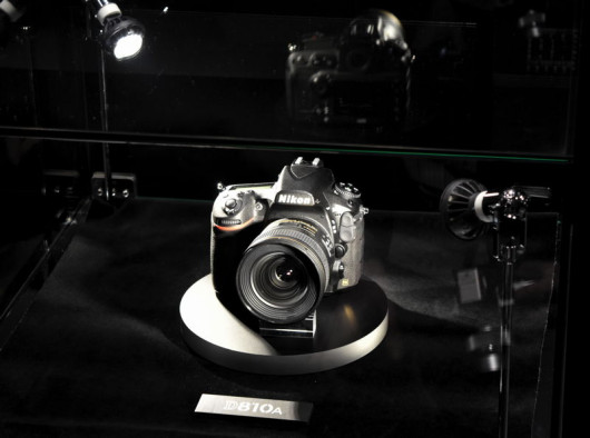 model D810A - gwiazda trzymana w gablotce