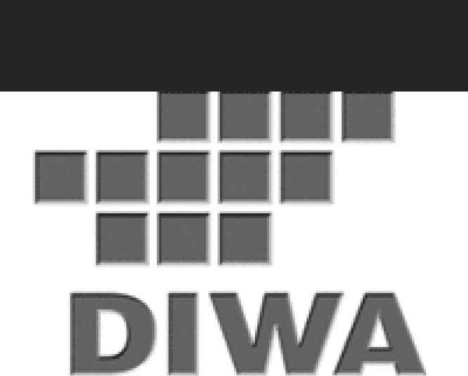  Inauguracyjne nagrody Digital Imaging Websites Association (DIWA)