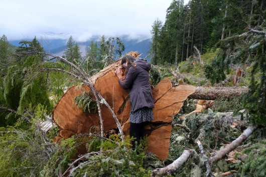 Fot Jennifer Osborne, z projektu Fairy Creek / Leica Women Photo Project 2025
