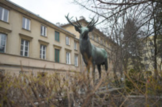 Nikon D4S - zdjęcia przykładowe