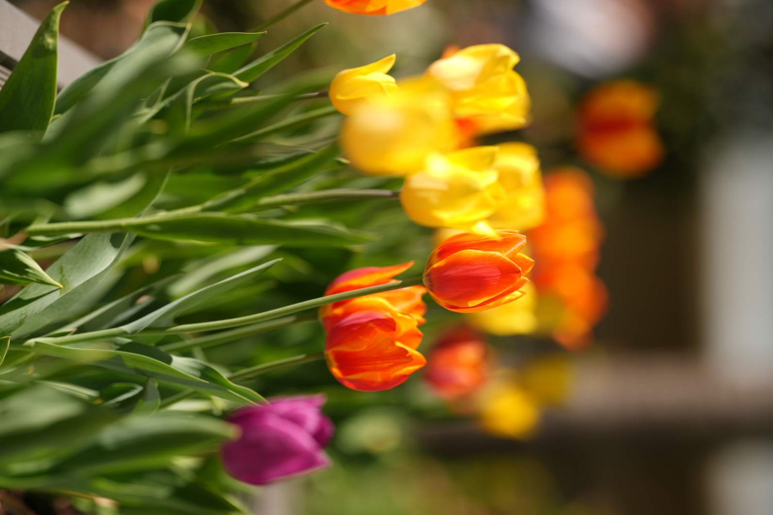 1/1250 s, f/2.5, ISO 64, 135.0 mm