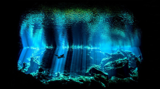 Zobacz piękno podwodnego świata na zdjęciach laureatów Underwater Photographer of the Year 2017