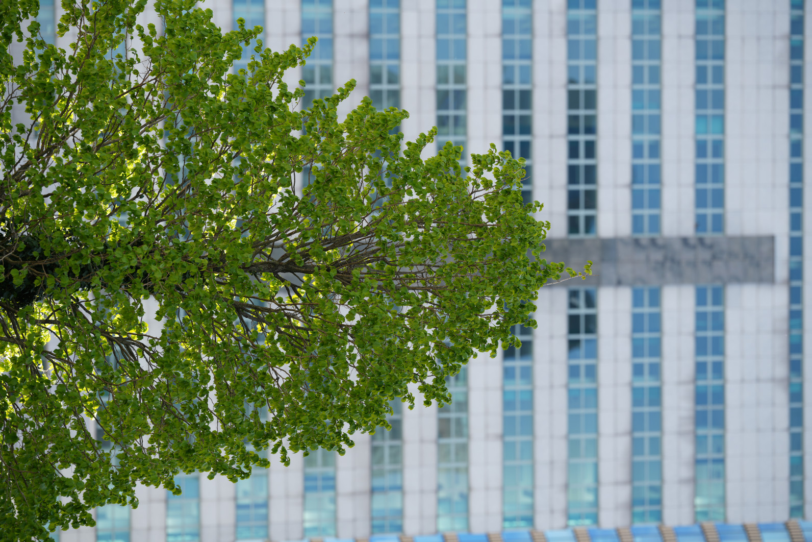 1/400 s, f/2, ISO 50, 135.0 mm