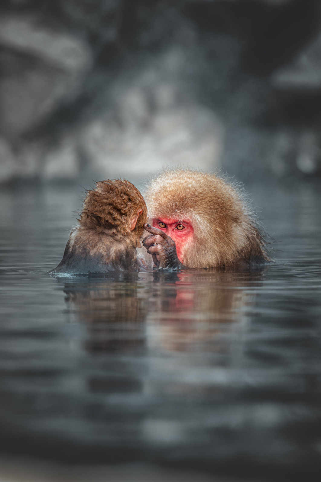 Fot. Seongmin Park, nagroda Republic of Korea National Award w konkursie Sony World Photography Awards 2024
