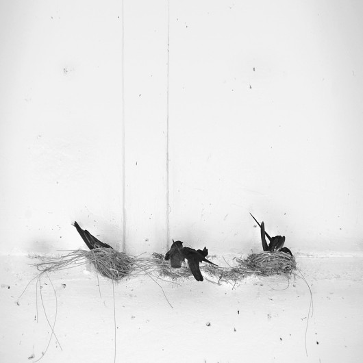 fot. Hengki Koentjoro