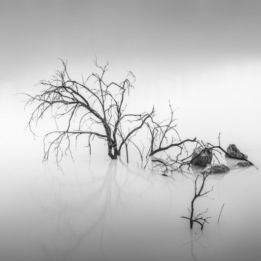 fot. Hengki Koentjoro