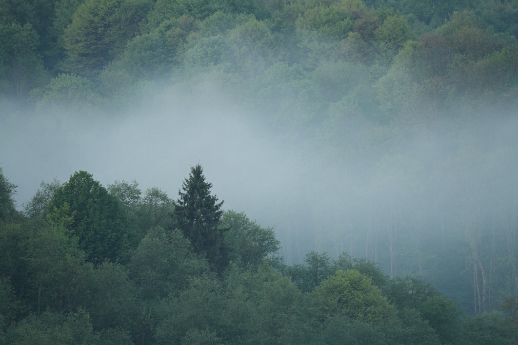 1/640 s, f/5.6, ISO 1600, 500.0 mm