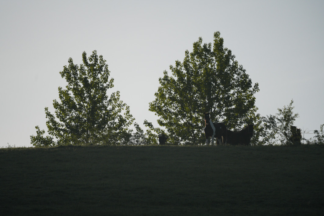 1/6400 s, f/5.6, ISO 800, 500.0 mm