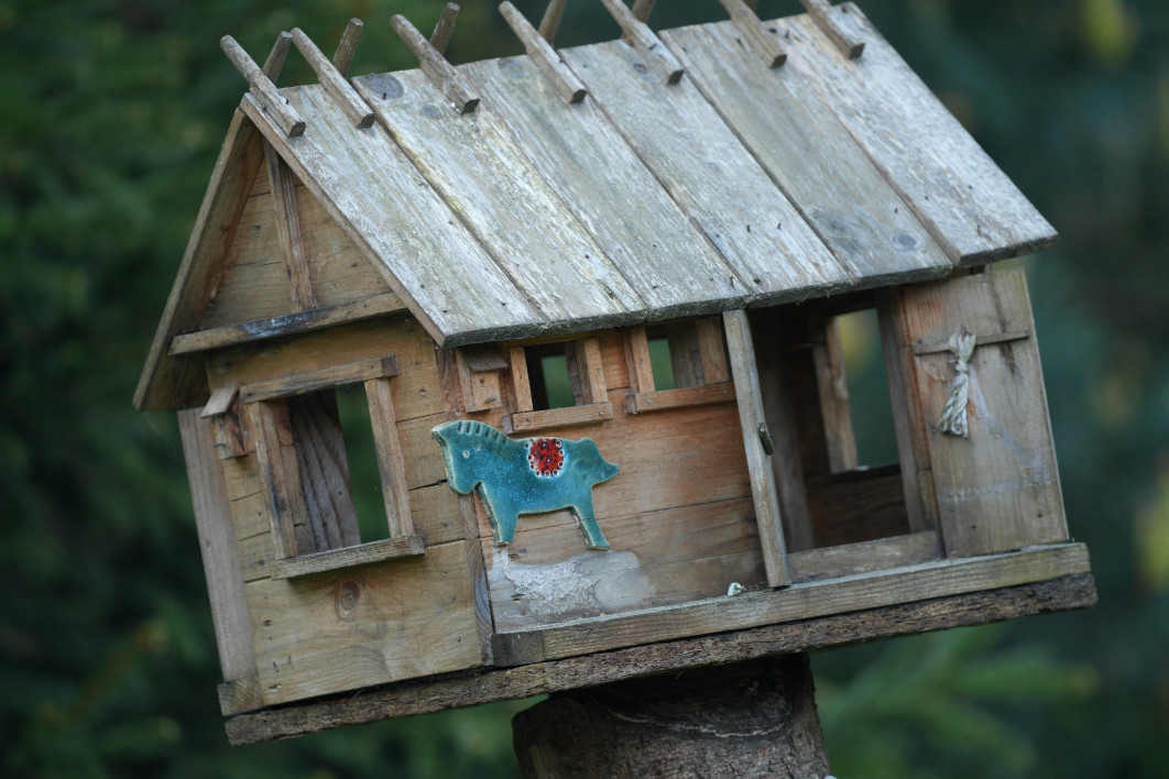 1/125 s, f/5.6, ISO 800, 500.0 mm