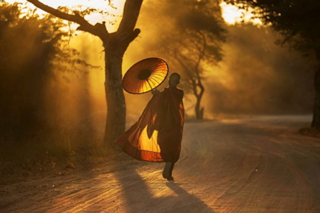 Najpiękniejsze zgłoszenia z konkursu National Geographic Photo Contest 2015