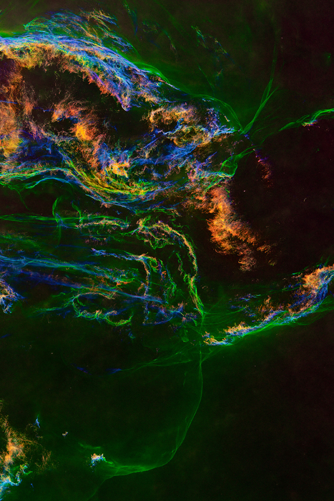 Fot. Zixiong Ji, "Veil of Stars", 2. miejsce w kat. Stars &amp; Nebulae / ZWO Astronomy Photographer of the Year 2025