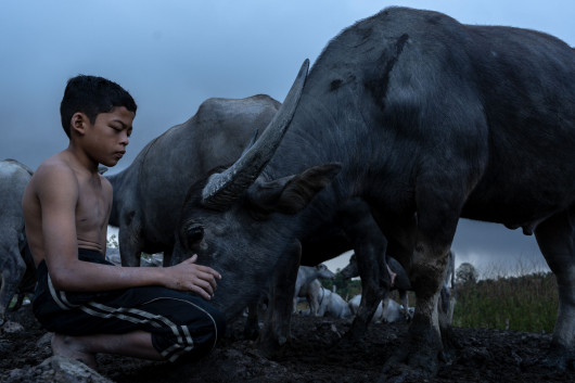 fot. Nur Hidayati Binti Abd Rahim, Malezja, nominacja w sekcji studenckiej / Sony World Photography Awards