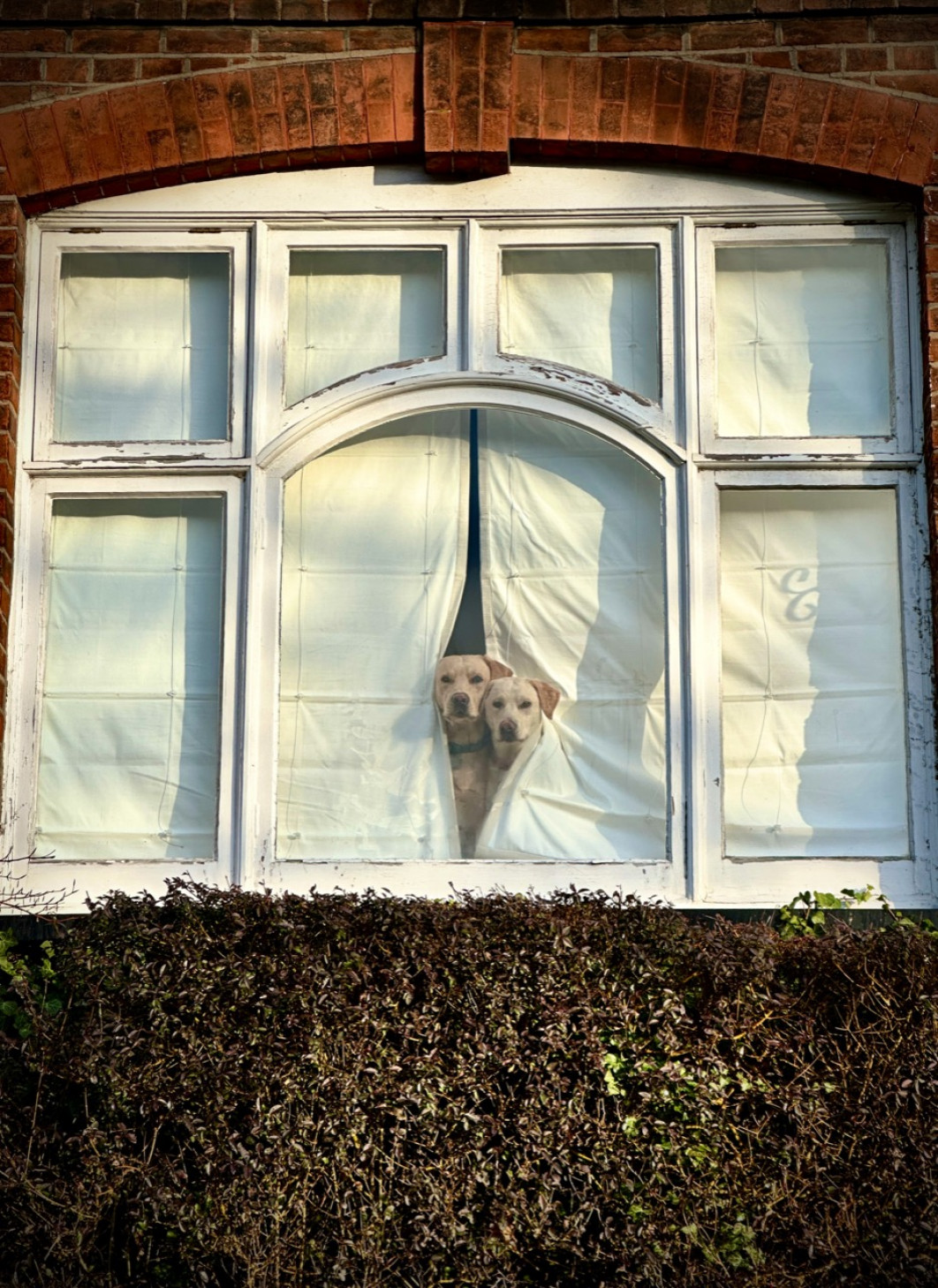 Fot. Peter Crome, 1. miejsce w kat. Animals / iPhone Photography Awards 2026