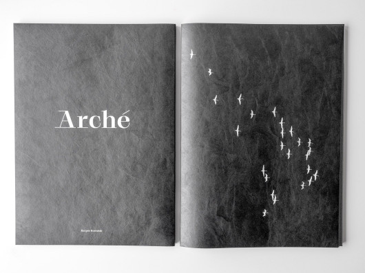 Kacper Kowalski, Arche, 2021