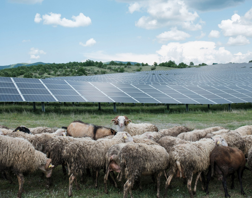 Fot. Suer Celina, nagroda Kosovo National Award w konkursie Sony World Photography Awards 2024