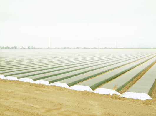Preparing the soil near Santa Maria, USA (c) Henrik Spohler, dzięki uprzejmości Hatje Cantz