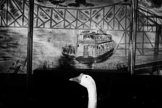 Swarat Ghosh Beyond Street