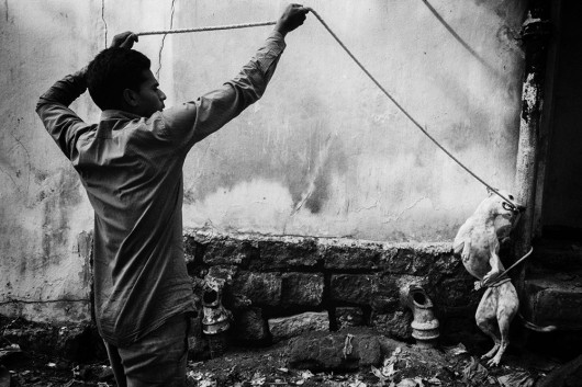 Swarat Ghosh Beyond Street