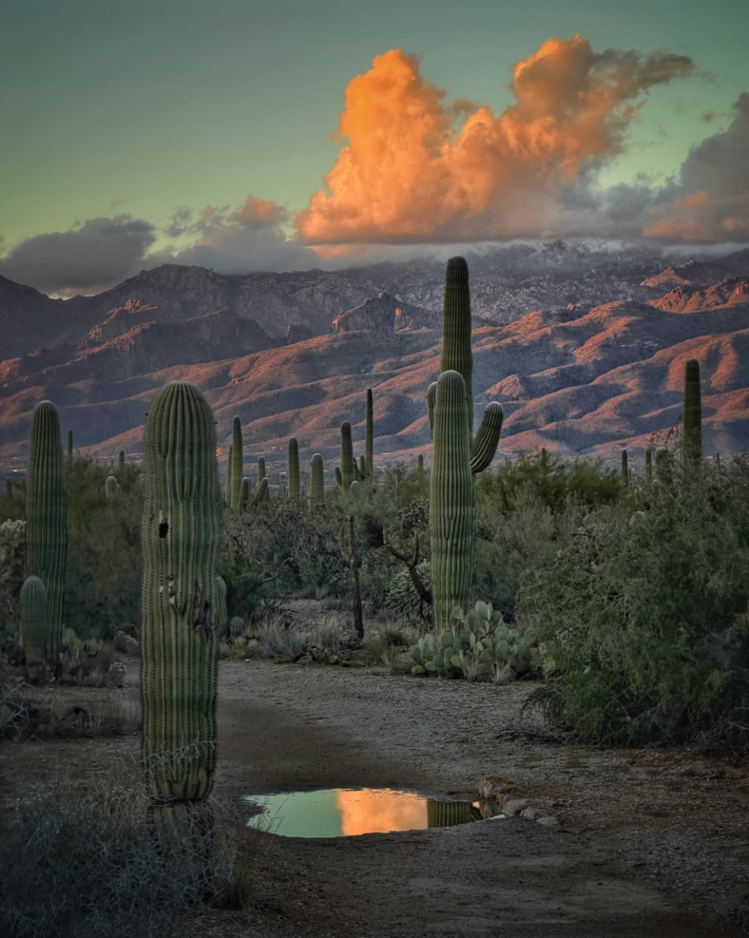 Fot. Joseph Cyr, 3. miejsce w kat. Landscape / iPhone Photography Awards 2026