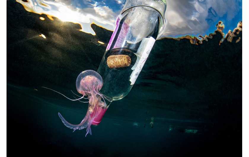 Fot. Pasquale Vassallo, Underwater Pollution, 1. miejsce eq-aequo w kat. Storyboard / Siena International Photo AwardsW ostatnich latach Pasquale skupił się na badaniu reakcji organizmów morskich na zanieczyszczenia środowiska, prezentując wyniki swojej pracy w tym portfolio. Obrazy te są jednak jedynie oknami na rozległy wpływ, jaki wywieramy na nasze oceany. Niektóre ujęcia pokazują organizmy morskie zmagające się z adaptacją do wyrzucanych przez nas odpadów. To surowe przypomnienie: nasze oceany duszą się pod ciężarem plastikowych zanieczyszczeń, a prognozy sugerują, że do 2050 r. mogą one przeważać nad życiem morskim.