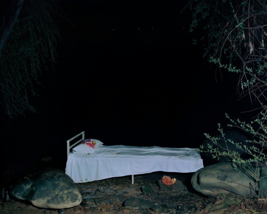 fot. Bowei Yang, z cyklu If Spring Could Feel Ache / BJP International Photography Awards 2021