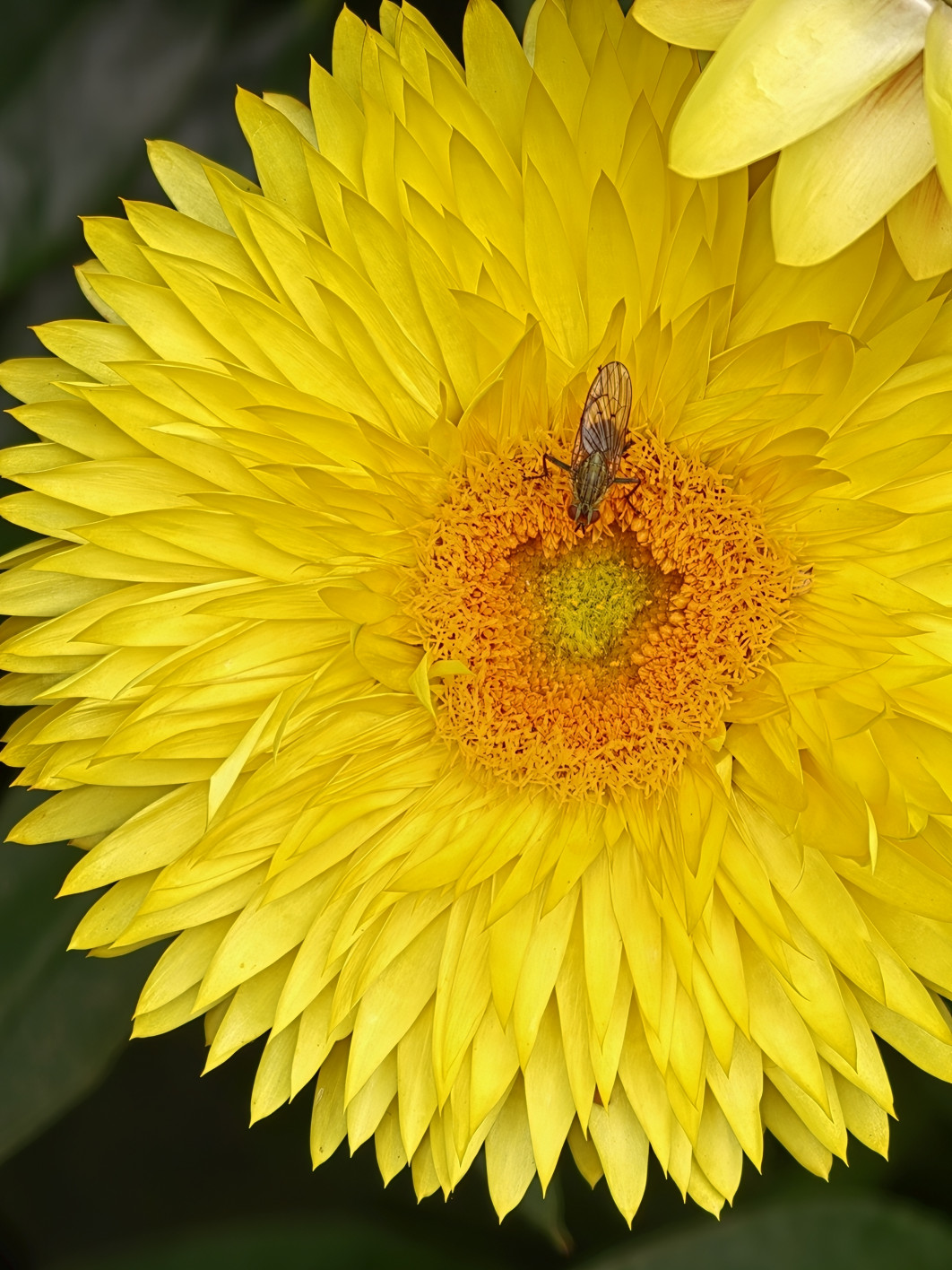 1/233 s, f/2.2, ISO 50, 20.1 mm