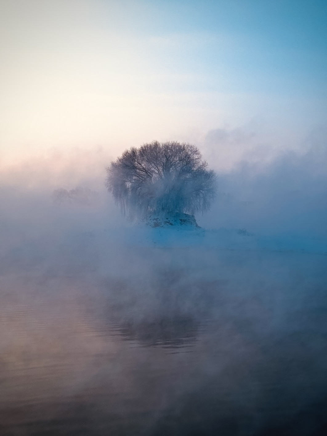 Fot. Tianjiao Zhang, 1. miejsce w kat. Nature / iPhone Photography Awards 2026