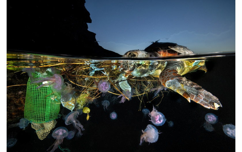 Fot. Pasquale Vassallo, Underwater Pollution, 1. miejsce eq-aequo w kat. Storyboard / Siena International Photo AwardsW ostatnich latach Pasquale skupił się na badaniu reakcji organizmów morskich na zanieczyszczenia środowiska, prezentując wyniki swojej pracy w tym portfolio. Obrazy te są jednak jedynie oknami na rozległy wpływ, jaki wywieramy na nasze oceany. Niektóre ujęcia pokazują organizmy morskie zmagające się z adaptacją do wyrzucanych przez nas odpadów. To surowe przypomnienie: nasze oceany duszą się pod ciężarem plastikowych zanieczyszczeń, a prognozy sugerują, że do 2050 r. mogą one przeważać nad życiem morskim.