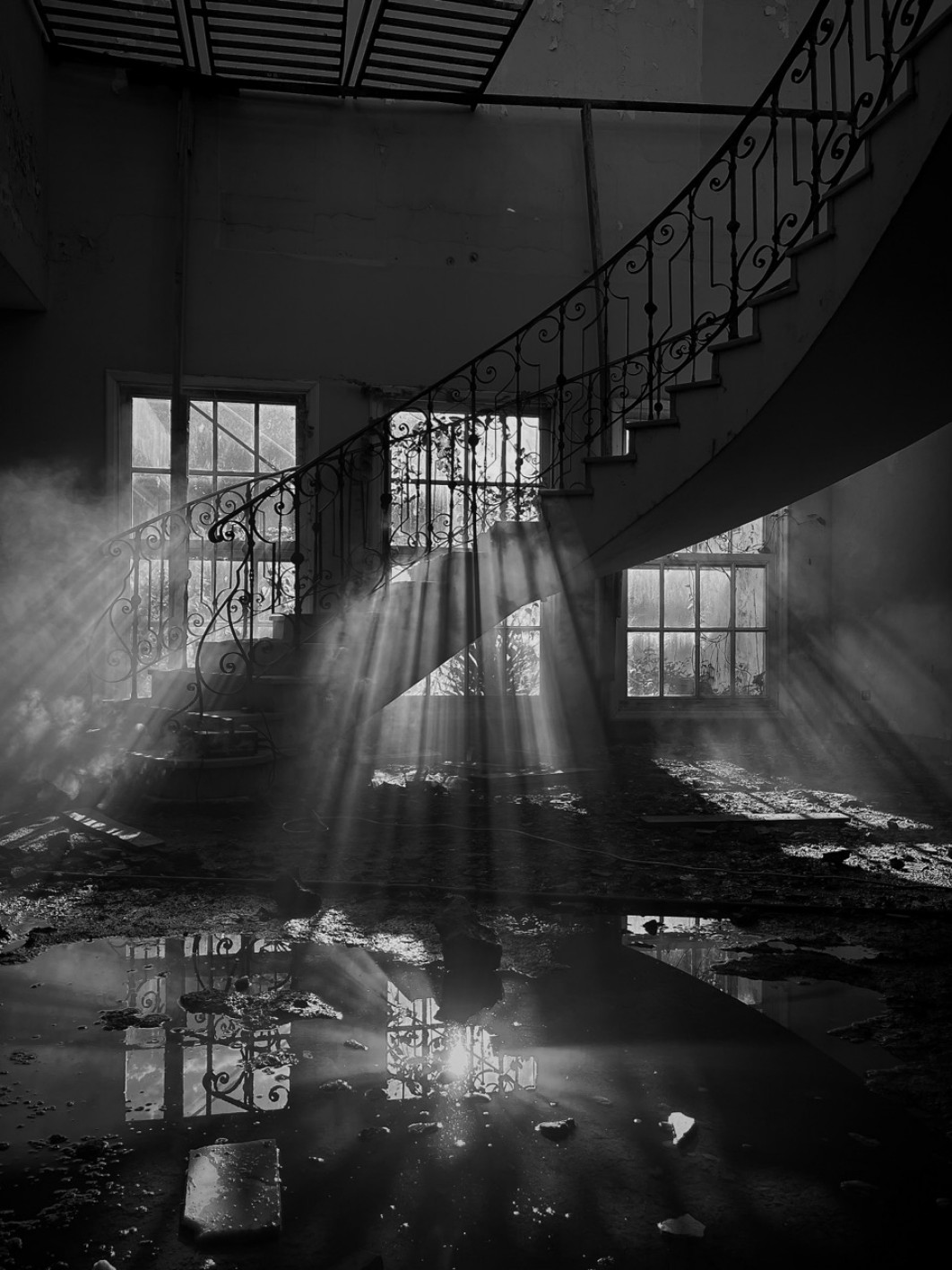 Fot. Gabriela Alvelo, 3. miejsce w kat. Other / iPhone Photography Awards 2026