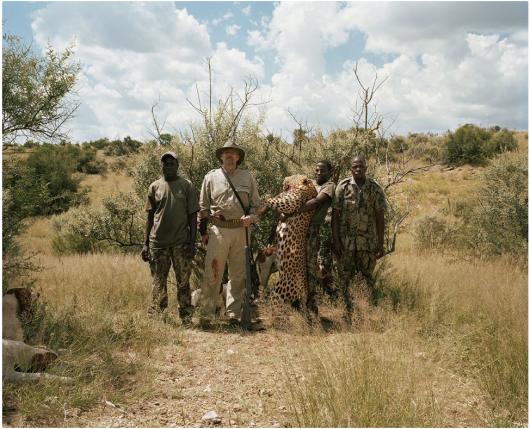 David Chancellor „Trophy hunting - should we kill animals to save them?“, I miejsce w kategorii Storyboard Siena International Photo Awards 2018 | Każdego roku przychody rzędu setek milionów federalnych podatków akcyzowych, nakładanych na myśliwych są kierowane bezpośrednio do zarządzania dziką fauną i florą oraz związanych z nimi działalnościami. Istnieją myśliwi, którzy twierdzą, że starannie regulowane i kosztowne polowania stanowią zrównoważony sposób ochrony zarówno gatunków, jak i siedlisk. Inni twierdzą, że dzika zwierzyna jest „wersją ropy naftowej“ na kontynencie, która też kiedyś się skończy.