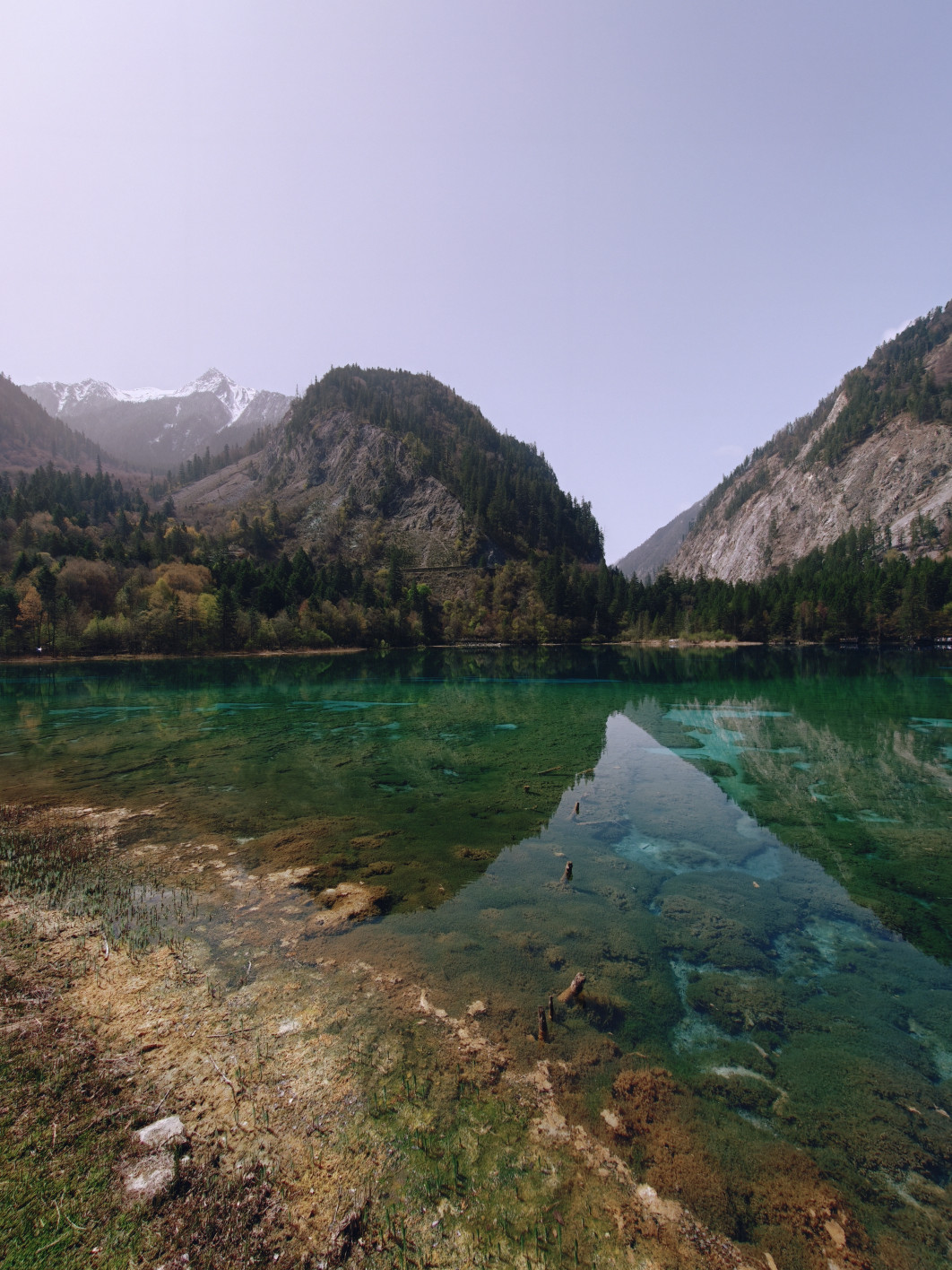 1/890 s, f/2, ISO 50, 2.6 mm