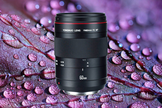 Yongnuo YN 60 mm f/2 MF - budżetowe makro, które może namieszać