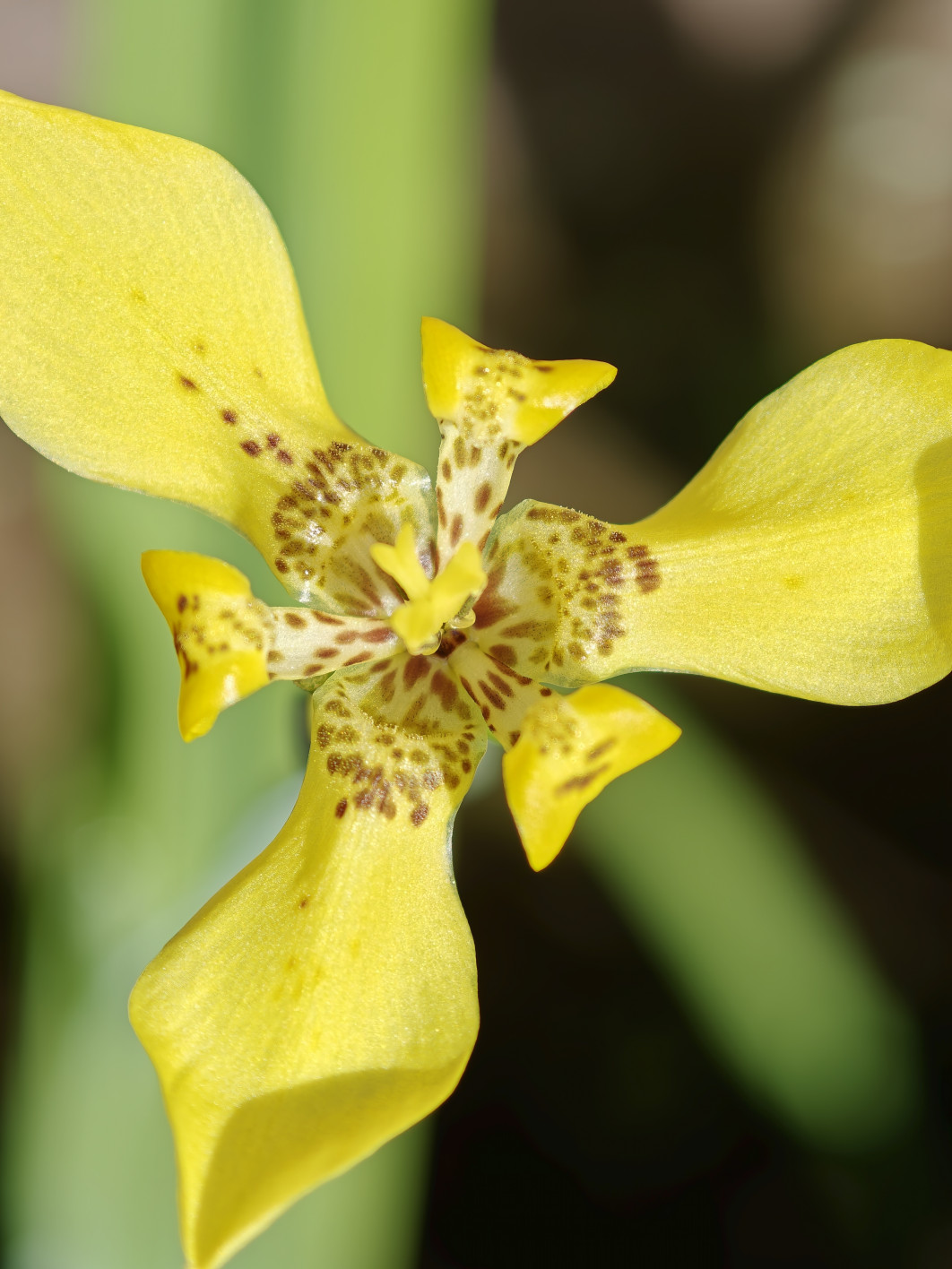 1/637 s, f/2.2, ISO 50, 20.1 mm