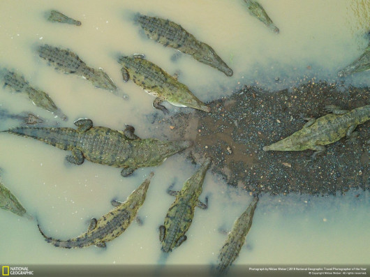 fot. Niklas Weber, Formation, nagroda publiczności w kategorii Nature konkursu National Geographic Travel Photographer of the Year 2018