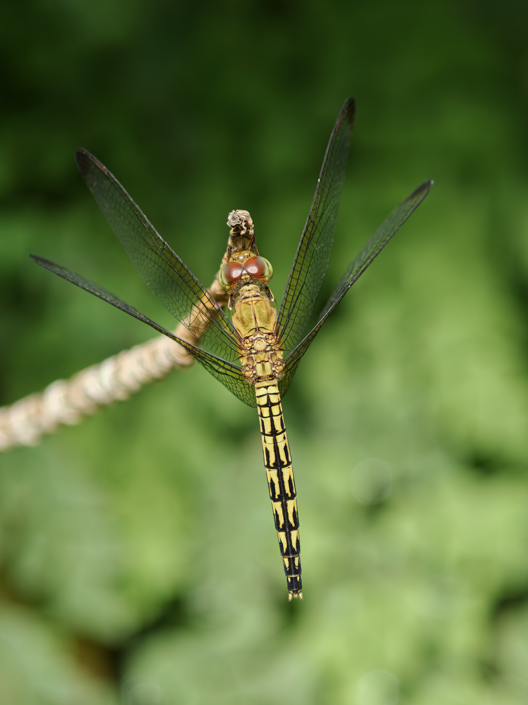 1/180 s, f/2.2, ISO 160, 20.1 mm