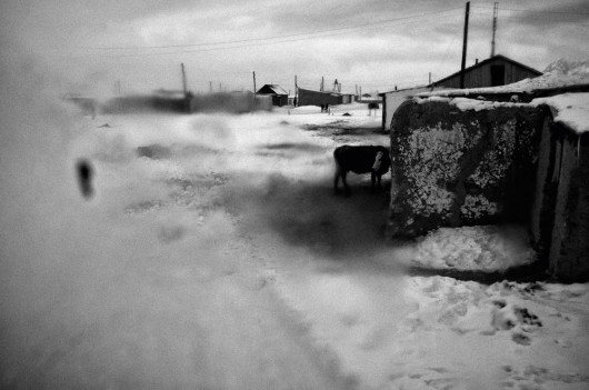 (c) Magdalena Borowiec (DEBUTS)