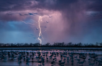 Oto najlepsze zdjęcia 2016 roku wybrane przez National Geographic