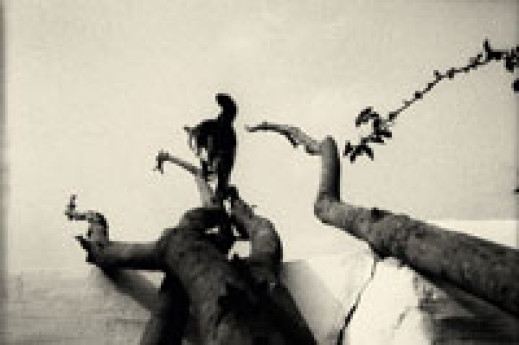 Jing Huang: "Pure of Sight" - wystawa fotografii