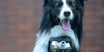 Nikon Heartography - migawka wyzwalana sercem