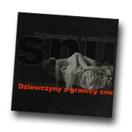 "Dziewczyny z granicy snu" Tadeusza Wijata